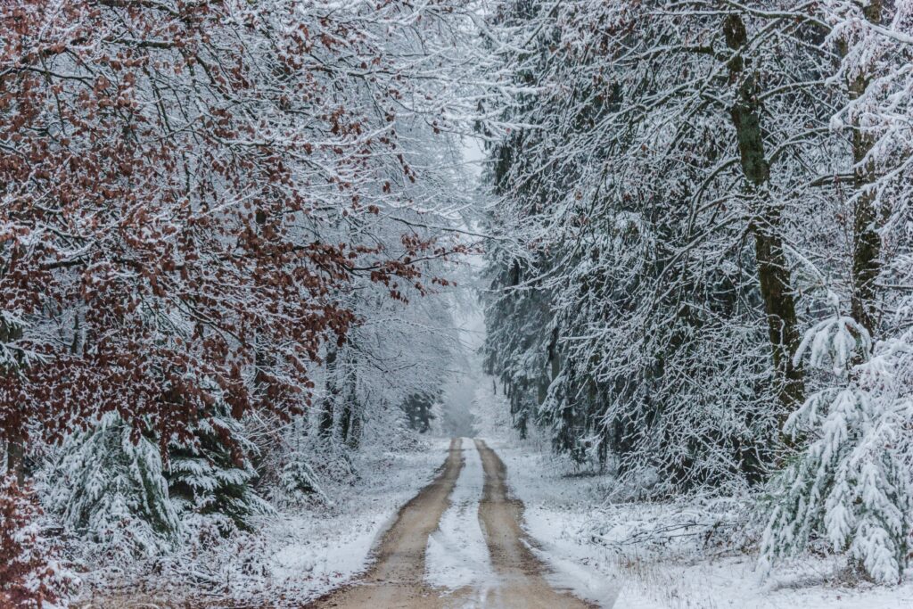 inspiring winter landscape