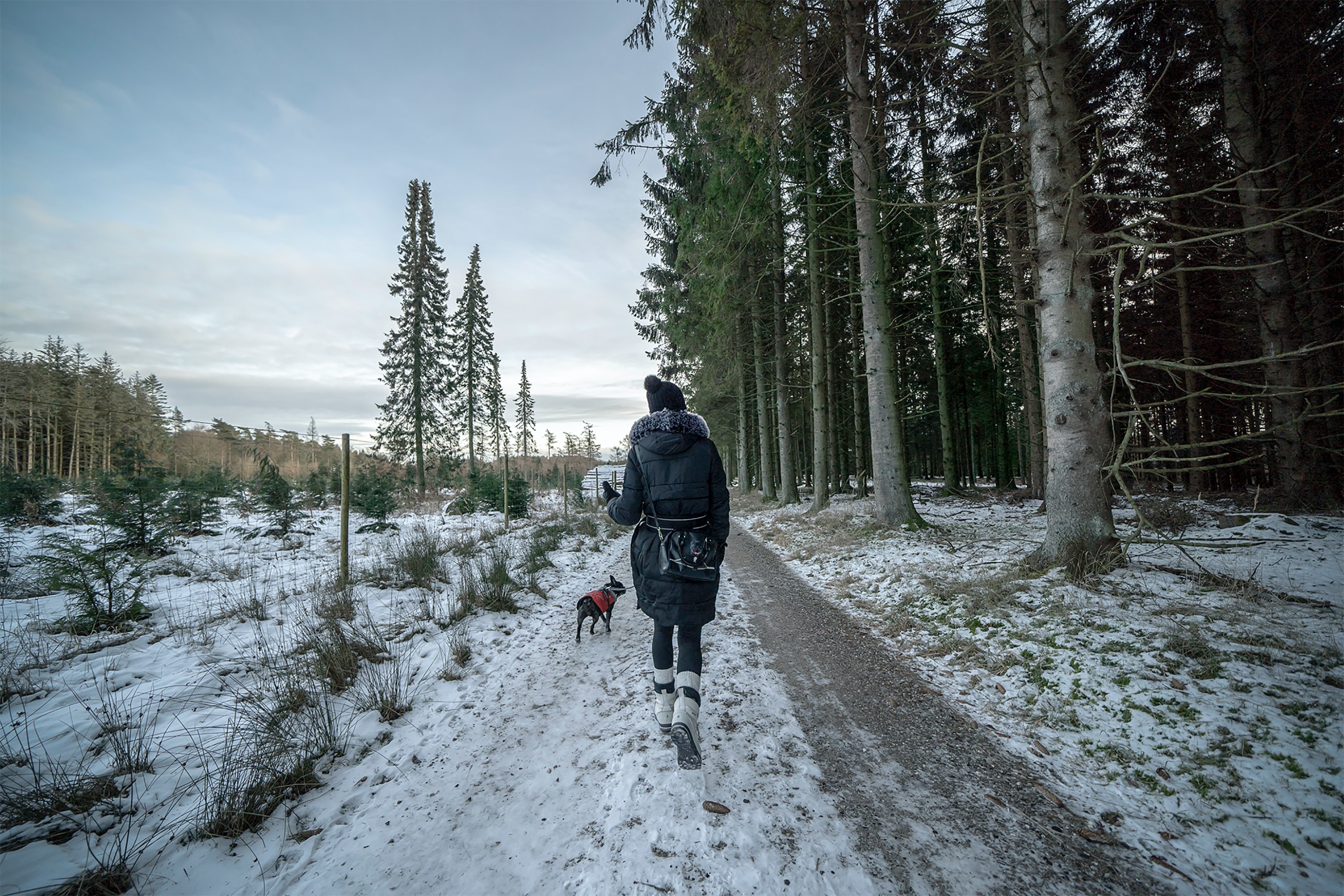 woman walking her dog